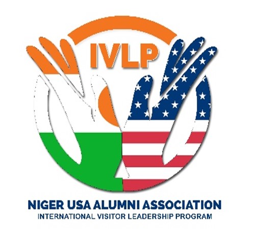 Logo IVLP